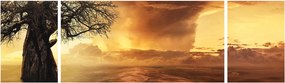 Obraz pomarańczowych chmur (170x50 cm)