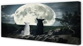 Obraz na płótnie Wataha Wilków przy Pełni Księżyca