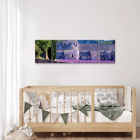 Obraz - Lewandowe pole (170x50 cm)