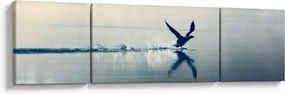 Obraz - Nury (170x50 cm)