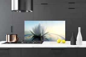 Panel Szklany Spokój Lilii Wodnej