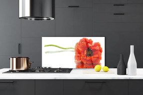 Szkło Dekoracyjne do Kuchni Naturalny Bukiet Botaniczny