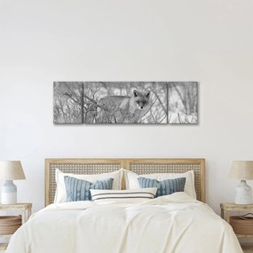 Obraz - Lis, czarno - biały (170x50 cm)