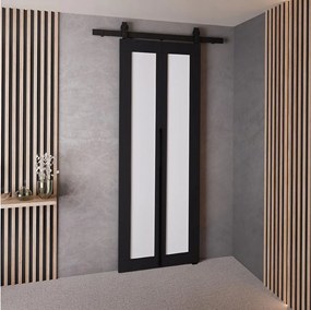 Drzwi Przesuwne QUDIO M1 Czarny + Biały 60