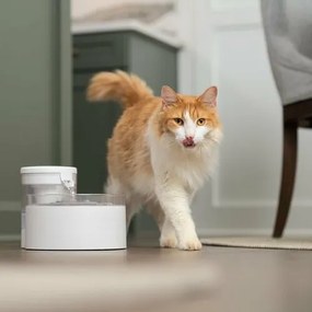 PetSafe® Outlast™ Fontanna 1,7 litra