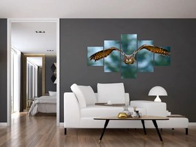Obraz - Sowa w locie (125x70 cm)