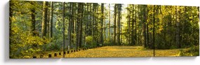 Obraz - las jesienią (170x50 cm)
