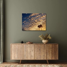 Obraz - palmy pośród chmur (70x50 cm)