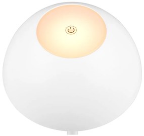 Lampa zewnętrzna ze ściemniaczem ø 13,5 cm Ricardo – Trio