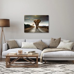 Obraz na szkle słonia (70x50 cm)