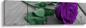 Obraz - Fioletowa róża z zieloną łodygą (170x50 cm)