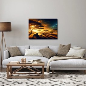 Obraz - Odpoczywające lwy (70x50 cm)