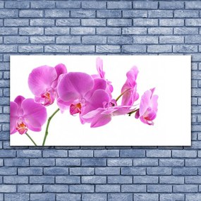 Obraz na płótnie Ogród Kwiatowy w Pełni Lata