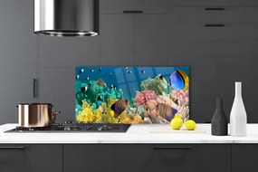 Panel Kuchenny Podwodny Świat Rafy