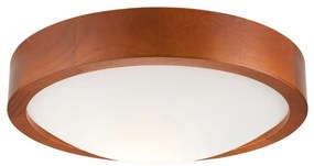 Lampa sufitowa 1xE27/60W/230V