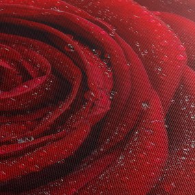 Obraz - szczegół róży (z zegarem) (90x30 cm)