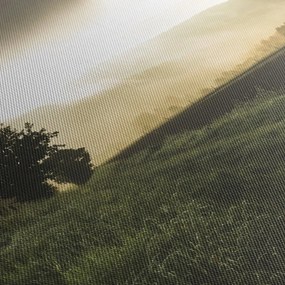 Obraz łąki (170x50 cm)