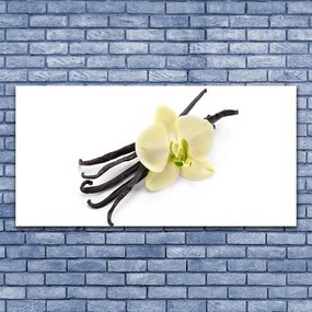 Obraz canvas Subtelny Rozkwit Natury