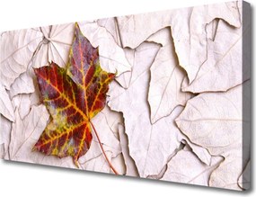 Obraz na płótnie Botaniczny Motyw Liściasty