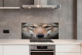 Panel Kuchenny Szklany Intensywne Oczy Wilka