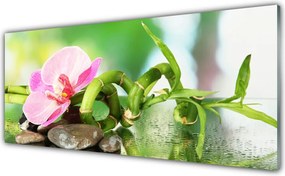 Dekor Szklany do Kuchni Świeże Pędy Zielonego Bambusa