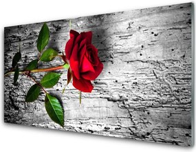 Szkło nad Blatem Aksamitna Róża w Rozkwicie