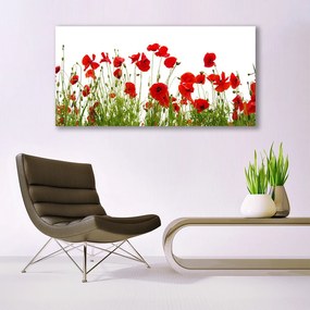 Obraz Canvas Maki Kwiaty Natura Roślina