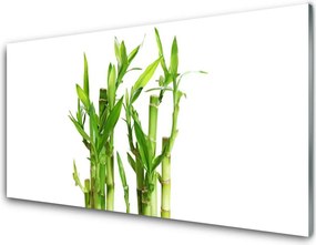 Panel Kuchenny Bambus W Kwiatowym Towarzystwie