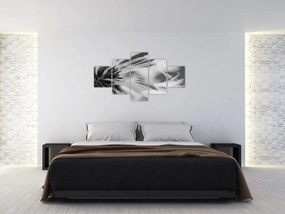 Obraz - Makro, czarno - biały (125x70 cm)