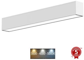 Sinclair LSM 24-40CCT - LED Plafon LSM LED/40W/230V 120 cm srebrny