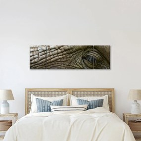 Obraz - Zbliżenie na stare oko słonia (170x50 cm)