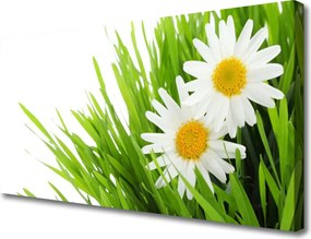 Obraz canvas Równowaga: Biały Storczyk Zen