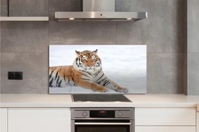 Panel szklany do Kuchni Tygrys Syberyjski w Śniegu