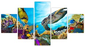 Obraz rafy koralowej (125x70 cm)