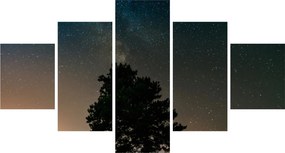 Obraz nocnego nieba z drzewami (125x70 cm)