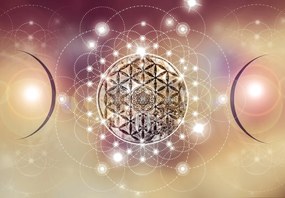 Fototapeta - Mandala z elementami (196x136 cm)