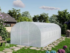 TOOLPORT 3x8m Tunel foliowy, plandeka PE, biały - (8947)