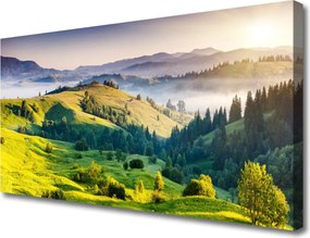 Obraz na płótnie Poranna Mgła nad Polami