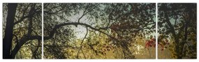 Obraz wschodu słońca (170x50 cm)