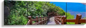Obraz - Panorama (170x50 cm)