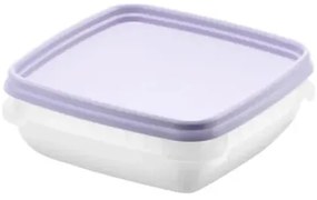 SmartStore Zestaw plastikowych pojemników Freezer6 szt., lewan dule, 300 ml, 300 ml