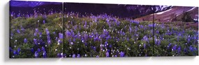 Obraz - Wulkan i kwiaty (170x50 cm)
