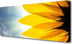 Obraz na płótnie Delikatne Płatki Kwiatowe