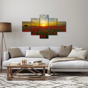 Obraz pola maków (125x70 cm)