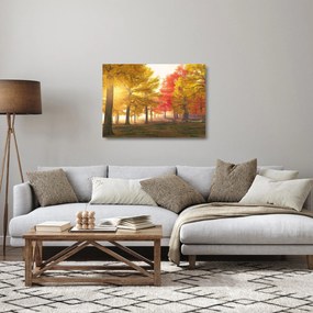 Obraz na szkle - jesienne drzewa (70x50 cm)