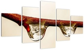 Obraz kropli na gałęzi (125x70 cm)