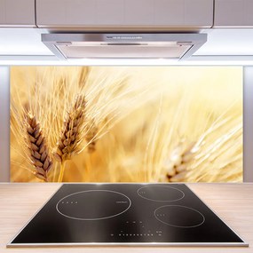 Panel Szklany Złociste Łany Pszenicy