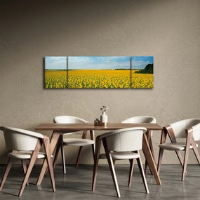 Obraz - ciąg słoneczników (170x50 cm)