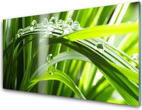 Panel nad blat kuchenny Perlista Rosa na Trawie