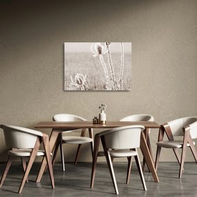 Obraz na szkle - Oset w zimie (70x50 cm)